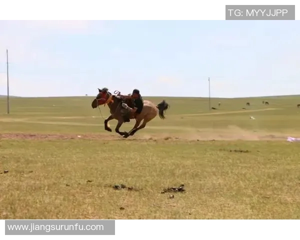 足球明星蒙语名字大全男士版解析及其背后的文化意义